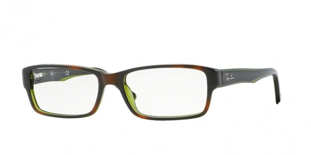 Ray-Ban 5169 Eyeglasses - view 4